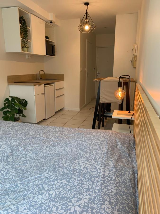 Apt Lyon Flachet Villeurbanne Exteriör bild